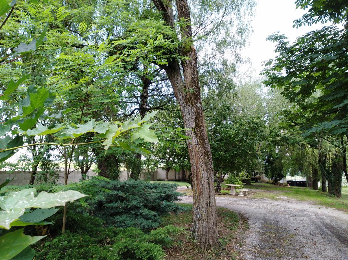 Hotel-Restaurant "La Gremelle" Ladoix-Serrigny Bagian luar foto